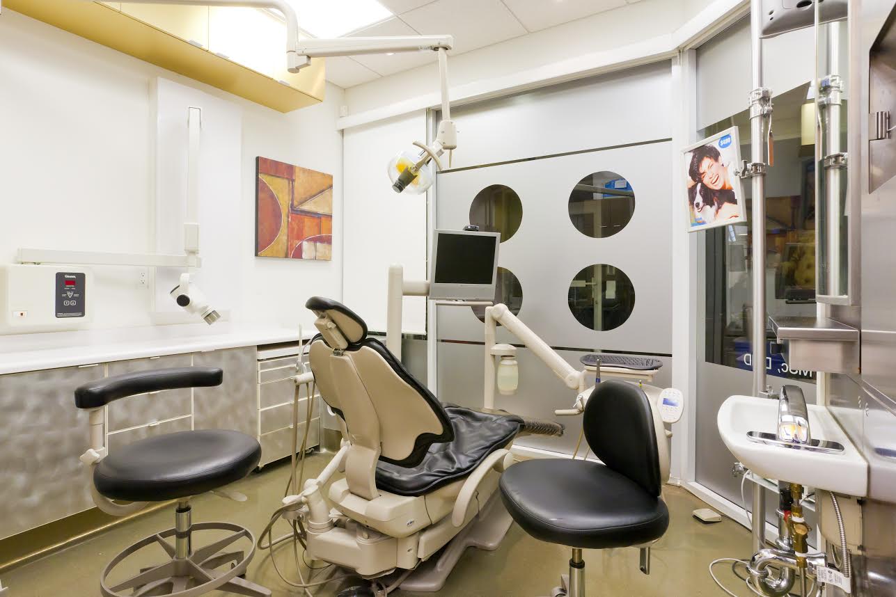 Whistler Dental Chair